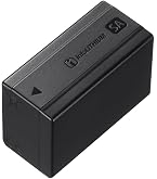Amazon.com : Sony NPFZ100 Z-Series Rechargeable Battery Pack for