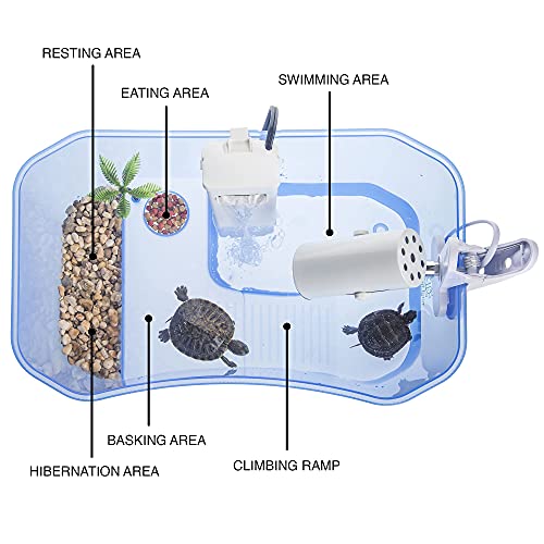 turtle aquarium starter kit