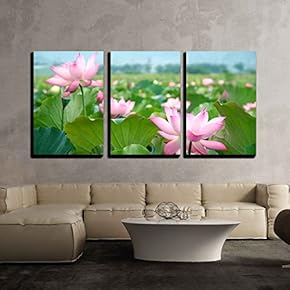 3 Piece Canvas Wall Art - Lotus Flower Blossom - Modern Home Art Stretched and Framed Ready to Hang - 16"x24"x3 Panels
