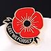 Lest We Forget Poppy Brooch Pin Flower Broach Memorial Day Remembrance Day