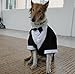 Dog Costume Large Dog Tuxedo Bandana Suit 2-Piece Removeable,Dogs Wedding Attire Outfit for Large and Medium Dogs,Golden Retriever, Labrador, Samo,Bulldogs