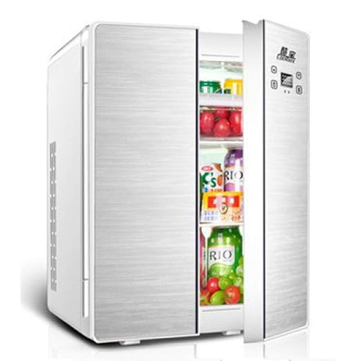 Mini Nevera Electrica Nevera Portatil 12V 220V (25L) Mini ...