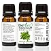 BioFinest Marjoram Oil - 100% Pure Marjoram Essential Oil - Premium Organic - Therapeutic Grade - Best For Aromatherapy - Antiseptic - Ease Stress/Anxiety - FREE E-Book (10ml)