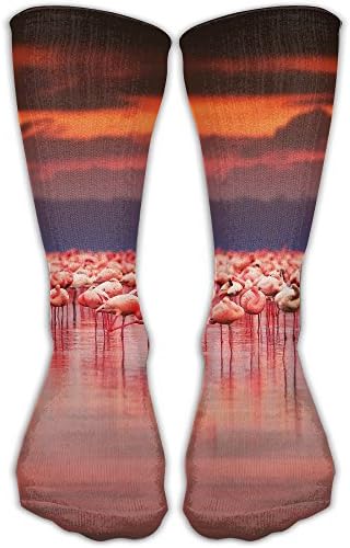 Men's Women's Flamingoes In Lake Sunset Long Socks Team Running Stocking Athletic Outdoor Sports Sock