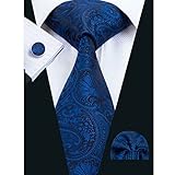 Hi-Tie Mens Silk Paisley Tie, Woven Silk Necktie Handkerchief Cufflinks set