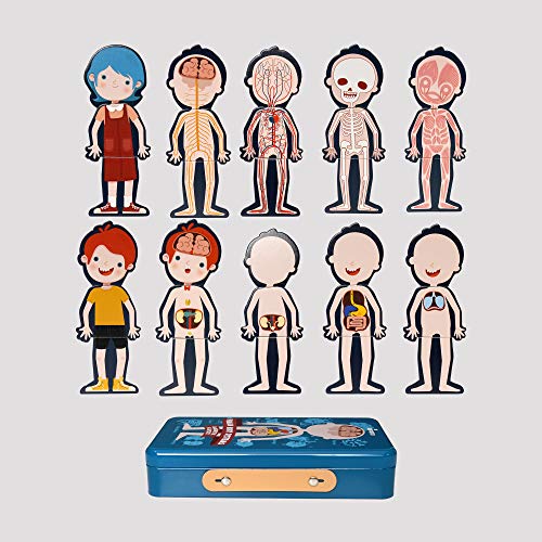 KIPPTO Puzzle Human Body System DressUp Playset, for 48