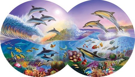 Catch a Wave, Double Circle, 800 pc