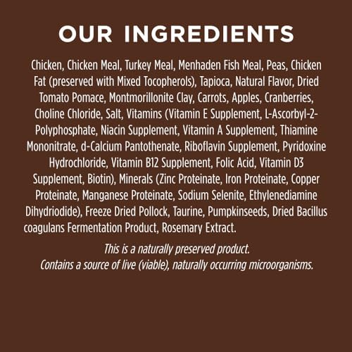 INSTINCT ORIGINAL DRY CAT FOOD, RAW COATED KIBBLE, HIGH PROTEIN, GRAIN FREE RECIPE – REAL CHICKEN, 11 LB. BAG