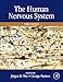 The Human Nervous System