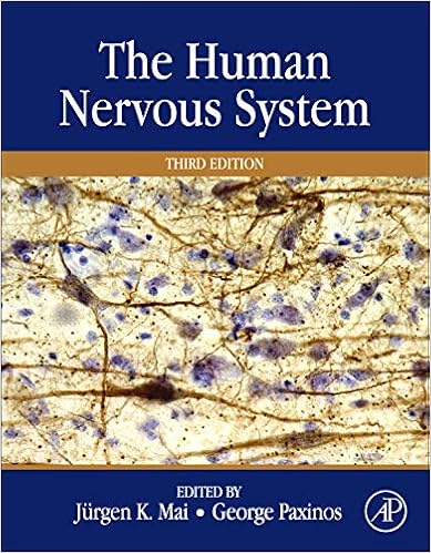 The Human Nervous System The Human Nervous System
