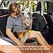 Babyltrl Pet Seat Cover with Mesh Window 100% Waterproof, Dog Car Seat Cover Nonslip Pet Seat Cover for Back Seat with Storage Pockets, Washable Dog Hammock for Cars Trucks and SUVs (Luxury)