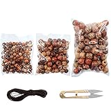 YUEAON 300pcs 10mm/12mm/17mm natural painted wood beads round loose wooden bead bulk lots ball for jewelry making bracelet necklace diy craft hair dreadlock macrame accessories supplies assorted