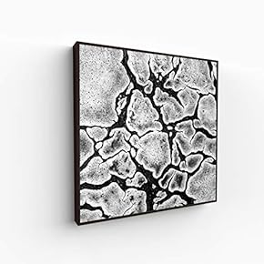 Canvas Wall Art for Living Room, Bedroom Silence Framed Canvas Prints for Home Decoration Ready to Hang - 16x16 inches