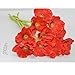 FatColo Artificial Poppy Flowers, Fresh Artificial Mini Real Touch PU/Latex Corn Poppies Fake Flowers Bouquet for Decor(Red, Piece of 10)