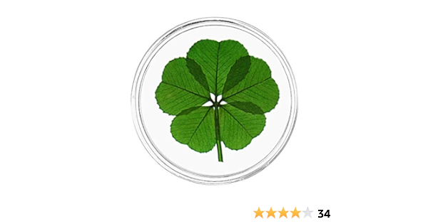Amazon Com Clovers Online Genuine 5 Leaf Clover Good Luck Pocket Token Everything Else