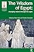 The Wisdom of Egypt: Changing Visions Through the Ages (Encounters with Ancient Egypt) by Peter J Ucko, Timothy Champion