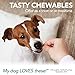 Vet's Best Aspirin Free Aches + Pains Dog Supplement | Vet Formulated for Dog Pain Support and Joint Relief (100 ct (2 Pack))