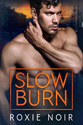 Bargain eBook - Slow Burn