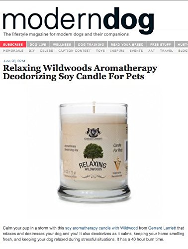 Wildwoods (Cedarwood & Vanilla) Aromatherapy Deodorizing Soy Candle For Pets, Candles Scented, Pet Odor Eliminator & Animal Lover Gift - 6 OZ (170 g)