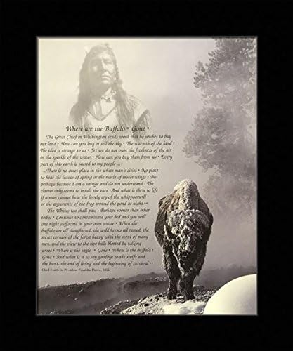 Amazon Com Black 1 Inch Framed With Where Are The Buffalo Gone