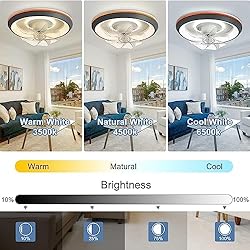 DLLT Modern Ceiling Fans with Lights, 360-Degree