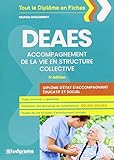 DEAES Accompagnement de la vie en structure collective by