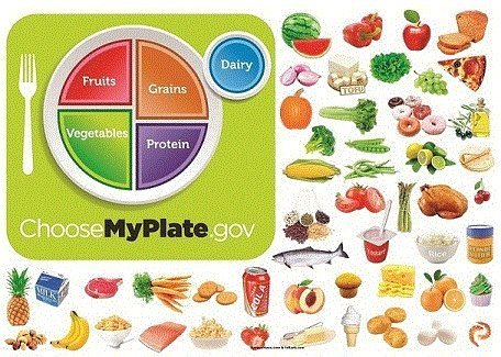 Myplate Nutrition Felt Figures for Flannel Boards- Includes: Lesson Guide+ Vegetables, Fruits, Grains, Dairy, Protein Precut
