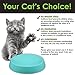 CatGuru Cat Bowls, Whisker Friendly Cat Food Bowl for Indoor Cats, Reliefs Whisker Fatigue, Wide Pet Bowl, Non Slip Pet Feeding Bowls, Shallow Kitten Dish (Aruba)