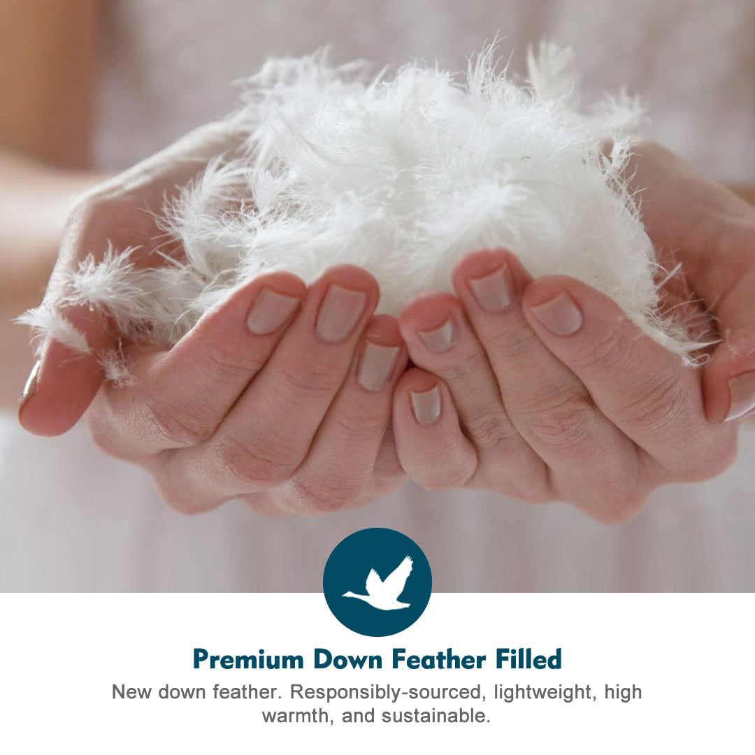 Oaken-Cat Gray Feathers Down Comforter California