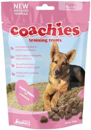 cheetah emotional support dog