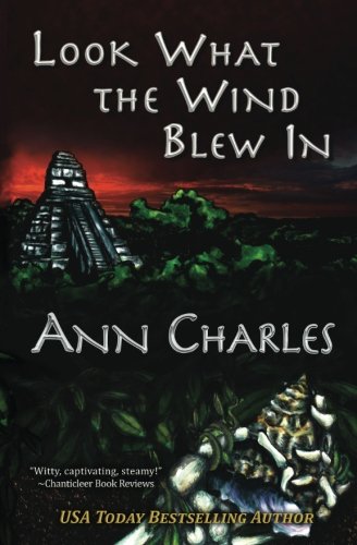 Look What the Wind Blew In (A Dig Site Mystery) (Volume 1)