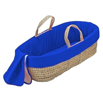 electric moses basket