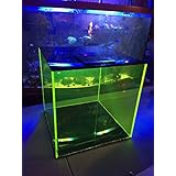 7.5 Gallon Florescent Green Acrylic Auto Top Off Container for Aquarium Reef Tank ReefCreators.com