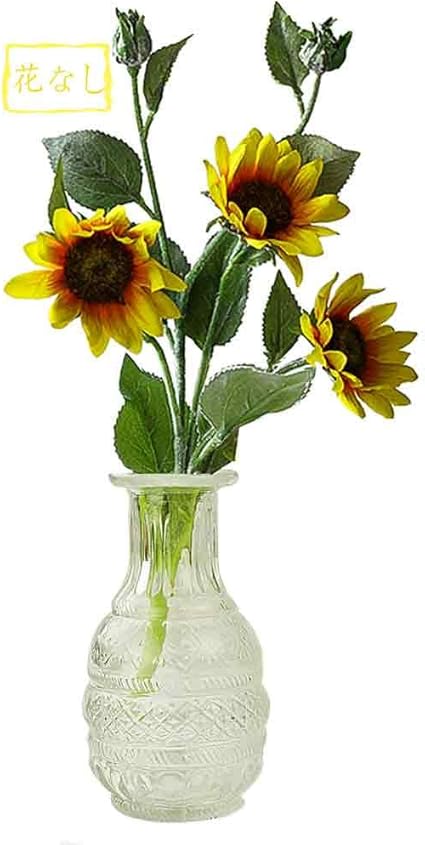 Amazon Co Jp Swpotato 花瓶 ガラス一輪挿し おしゃれ 水耕栽培 造花瓶 シンプル花器 透明 エンボスデザイン 高さ13 5cm スタイルb ホーム キッチン