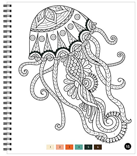 Brain Games - Color by Number: Stress-Free Coloring (Pink) | Pricepulse