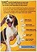 IAMS PROACTIVE HEALTH Puppy Biscuits Natural Chicken Flavor 24 Ounces (Pack of 6) (Discontinued by Manufacturer)