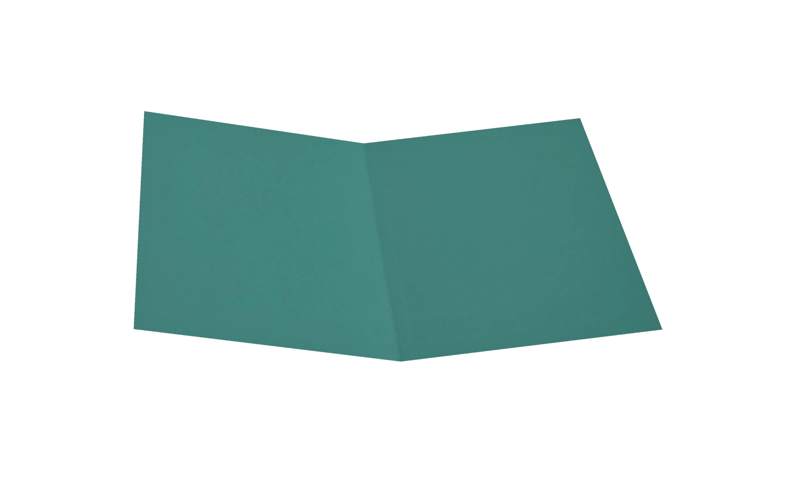 Alevar 3345/Green Simple Pannosa Folder