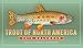 Trout of North America Wall Calendar 2016 primary