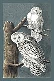 Journal: Snowy Owl 6x9 - GRAPH JOURNAL - Journal with graph paper pages, square grid pattern (Holida by Premise Content