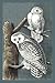 Journal: Snowy Owl 6x9 - GRAPH JOURNAL - Journal with graph paper pages, square grid pattern (Holida by Premise Content