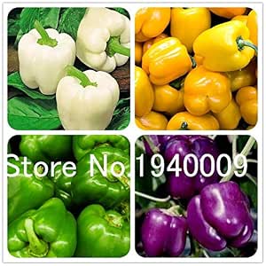 Pinkdose Pene Chili Rojo Caliente Peter Pepper Bonsai 100 Piezas ...