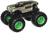 Hot Wheels 2017 Monster Jam 1:64 Scale Truck with Team Flag - Alien Invasion