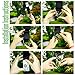 2-Pack Tree Swing Straps Hanging Kit, Adjustable 5-10 Feet Tree Swing Hanging Straps, Heavy Duty & Weatherproof Hammock Branch Swings, Tree Strap for Swings Holds Up to 3376 Lbs