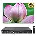 Video Wall Processor 2X2 4K Video Controller – Up to 4K 60Hz, Switchable Inputs (DP, HDMI) Support 1x2 1x3 1x4 2x1 Mode