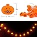 KAILEDI. Halloween String Lights, LED Pumpkin Lights, Holiday Lights for Outdoor Decor,2 Modes Steady/Flickering Lights(20 One Pumpkin Lights, 9.8 feet) (Orange)