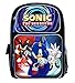 Sonic the Hedgehog Blue 16