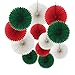 Ipalmay 12PCS Assorted Colors Hanging Tissue Paper Fans for Christmas Decorations(14