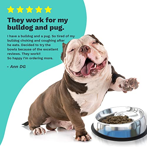 Enhanced Pet Bowl, Stainless Steel Slanted Dog Bowl with Raised Ridge
