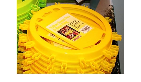 Bosmere - Anilla de sujeción para Plantas de Guisantes y habas ...