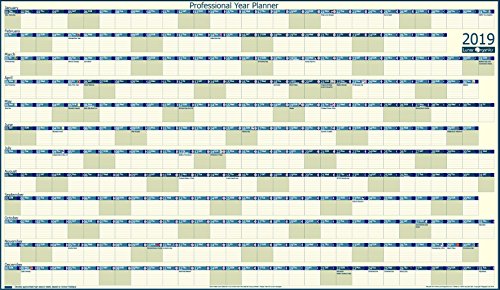 D0wnl0ad Professional EXTRA LARGE Year Wall Planner 2015 Unlaminated KINDLE